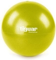 Jumppapallo Tiguar Easy Ball, 25cm hinta ja tiedot | Tiguar Urheilu ja vapaa-aika | hobbyhall.fi