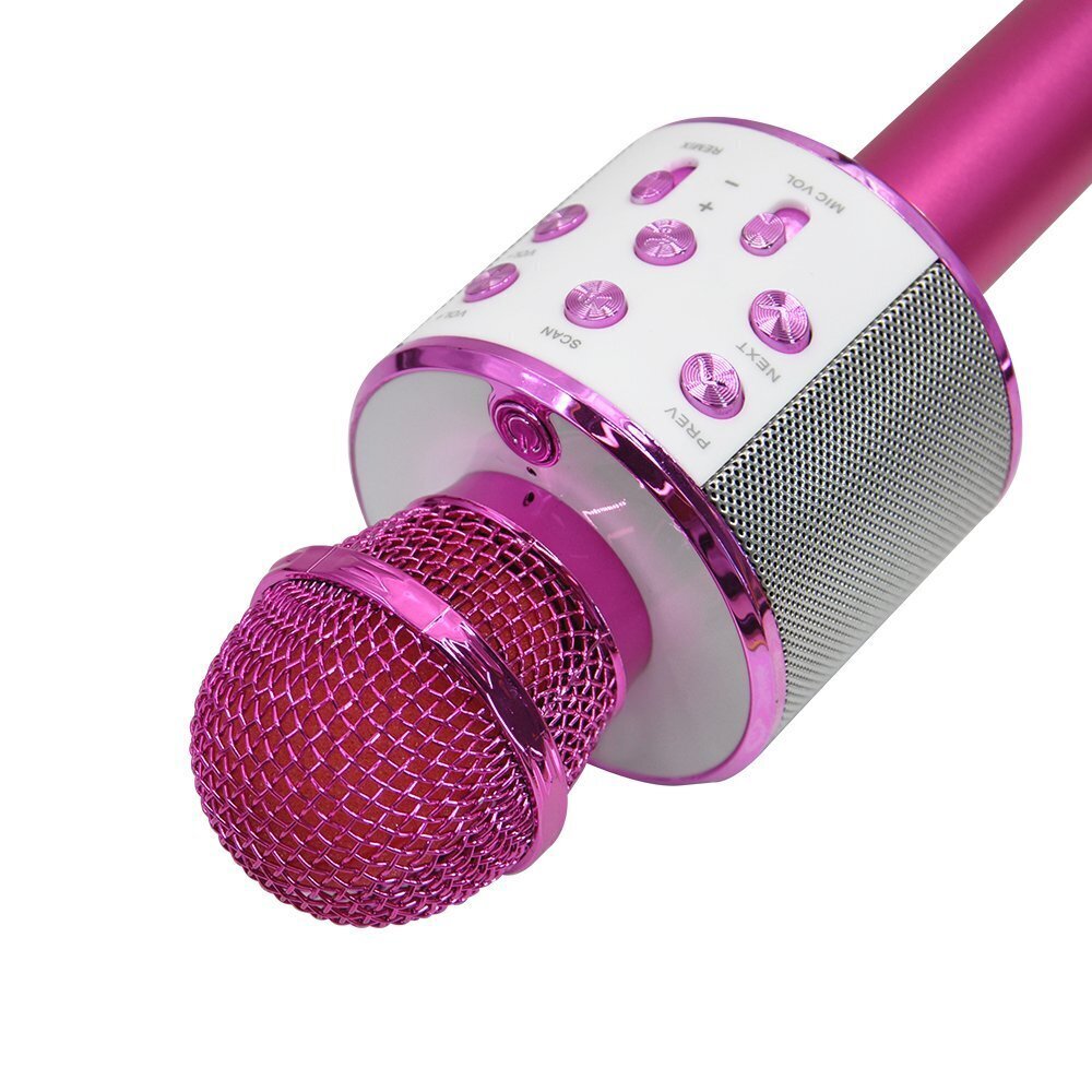 Mikrofoni Forever BMS-300, vaaleanpunainen hinta ja tiedot | Mikrofonit | hobbyhall.fi