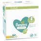 Kosteuspyyhkeet Pampers Sensitive Plastic Free, 24 x 52 kpl hinta ja tiedot | Vauvojen kosteuspyyhkeet | hobbyhall.fi