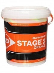 Tennispallot Dunlop STAGE 2 ORANGE 60 kpl kupissa hinta ja tiedot | Tennisvälineet | hobbyhall.fi