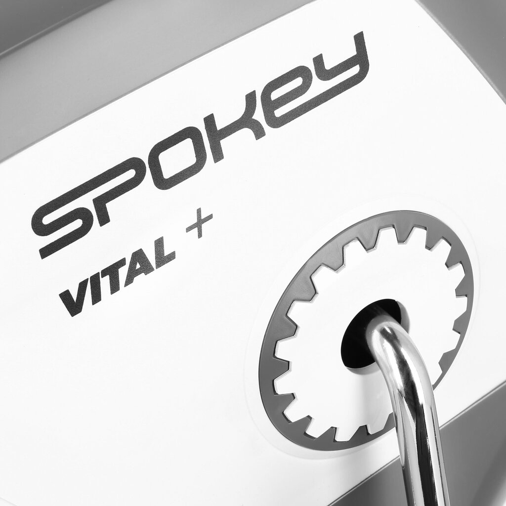 Kuntopyörä Spokey Vital +. hinta ja tiedot | Kuntopyörät | hobbyhall.fi