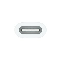 Applen USB-C–Apple Pencil -sovitin MQLU3ZM/A, valkoinen hinta ja tiedot | Adapterit | hobbyhall.fi