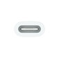 Apple USB-C to Apple Pencil Adapter - MQLU3ZM/A hinta ja tiedot | Adapterit | hobbyhall.fi