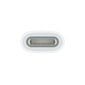 Apple USB-C to Apple Pencil Adapter - MQLU3ZM/A hinta ja tiedot | Adapterit | hobbyhall.fi