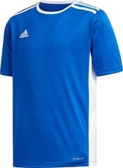 Miesten T-paita Adidas, sininen hinta ja tiedot | Jalkapallovaatteet ja -varusteet | hobbyhall.fi