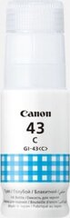 Canon 4672C001 hinta ja tiedot | Mustekasetit | hobbyhall.fi