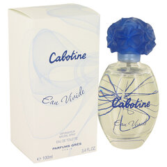 Gres Cabotine Eau Vivide EDT 100ml hinta ja tiedot | Naisten hajuvedet | hobbyhall.fi