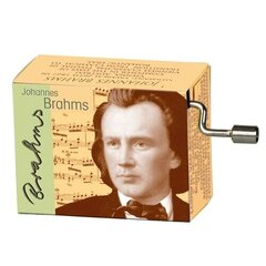 Soittorasia Fridolin Brahms - Tuutulaulu hinta ja tiedot | Fridolin Lapset | hobbyhall.fi
