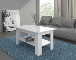 Elaiza-sohvapöytä, 102 x 62 x 52 cm, valkoinen hinta ja tiedot | Sohvapöydät | hobbyhall.fi
