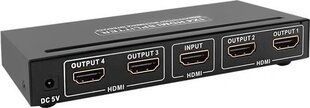 Qoltec Active Splitter HDMI 1.3B | 1x4 hinta ja tiedot | Adapterit | hobbyhall.fi