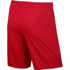 Nike shortsit Park II Junior 725988-657 hinta ja tiedot | Poikien shortsit | hobbyhall.fi