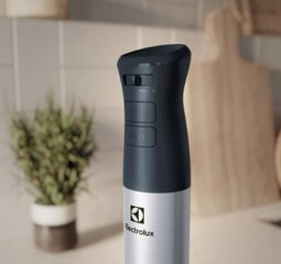 Electrolux E5HB1-6SS hinta ja tiedot | Electrolux Keittiön pienkoneet | hobbyhall.fi