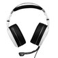 Turtle Beach TBS-3095-02 hinta ja tiedot | Kuulokkeet | hobbyhall.fi