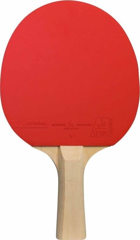 Pöytätennissetti Cornilleau Family Pack Indoor hinta ja tiedot | Pingismailat | hobbyhall.fi