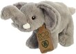 Pehmolelu Aurora Eco Nation Elephant, 15 cm hinta ja tiedot | Pehmolelut | hobbyhall.fi