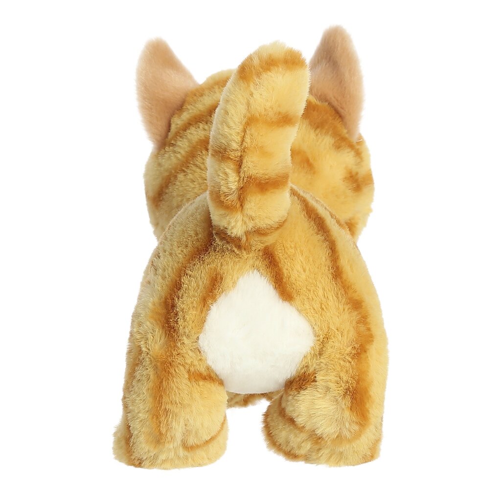 Pehmolelu Aurora Eco Nation Kitten, 15 cm hinta ja tiedot | Pehmolelut | hobbyhall.fi