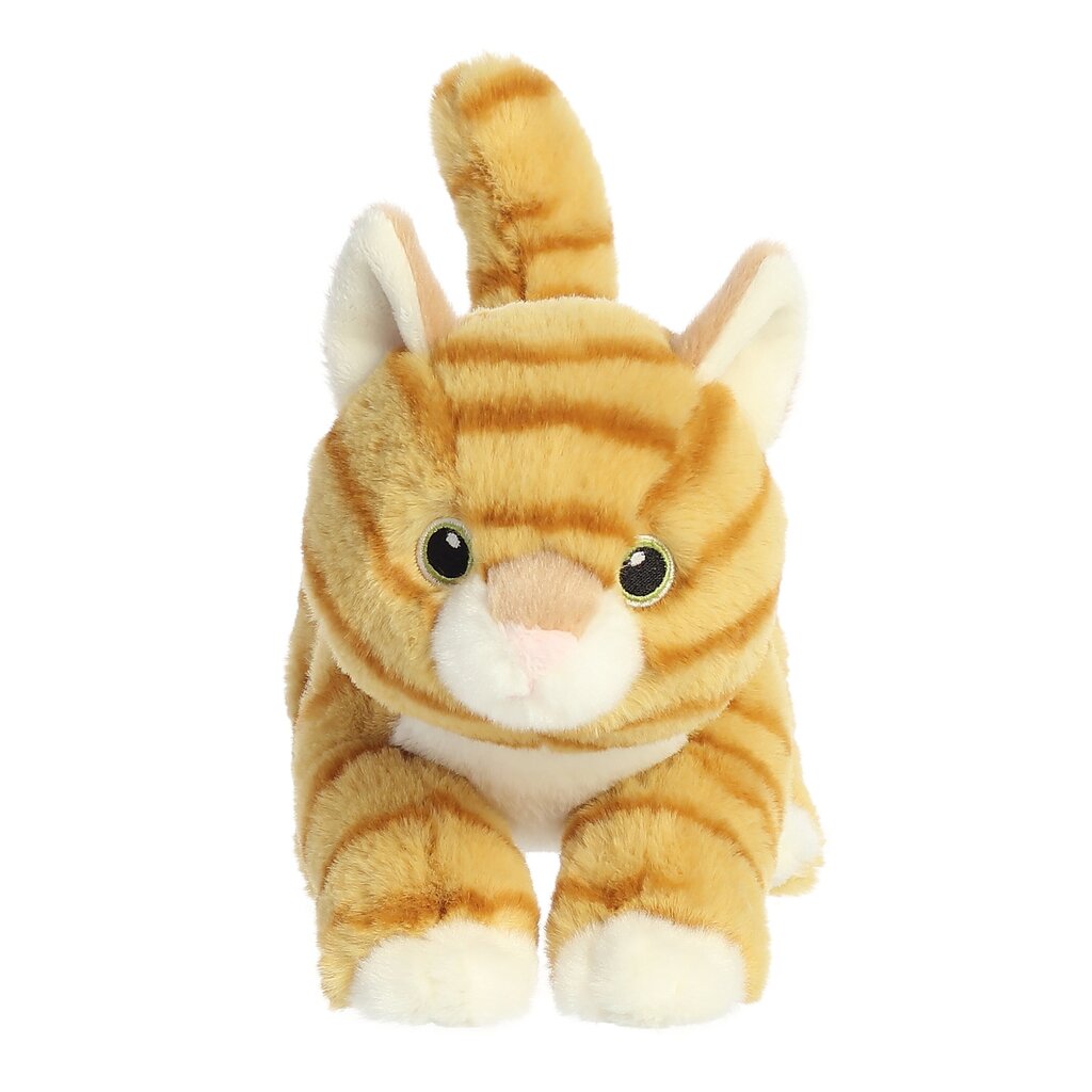 Pehmolelu Aurora Eco Nation Kitten, 15 cm hinta ja tiedot | Pehmolelut | hobbyhall.fi