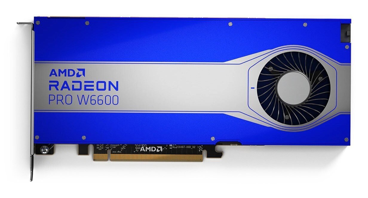 AMD Radeon Pro W6600 8GB GDDR6 (100-506159) hinta ja tiedot | Näytönohjaimet | hobbyhall.fi