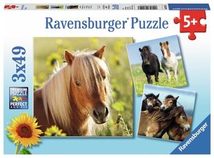 Ravensburger palapeli 3x49 kpl Hevoset hinta ja tiedot | Palapelit | hobbyhall.fi
