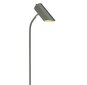 Elstead Lighting Quinto QUINTO6-GPN - Lattiavalaisin hinta ja tiedot | Lattiavalaisimet | hobbyhall.fi