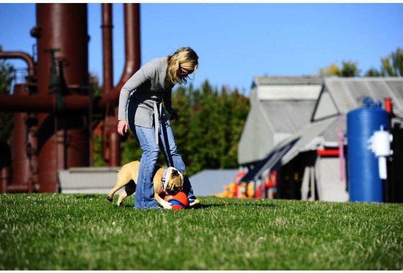 CHUCKIT DOG TOYS BALL KICK FETCH L hinta ja tiedot | Koiran lelut | hobbyhall.fi