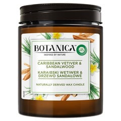 AW Bot. tuoksukynttilä Caribbean Sandalwood 205 g hinta ja tiedot | Botanica Sisustus | hobbyhall.fi