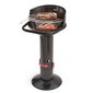 Barbecook-hiiligrilli Loewy 45 (1007) hinta ja tiedot | Grillit | hobbyhall.fi
