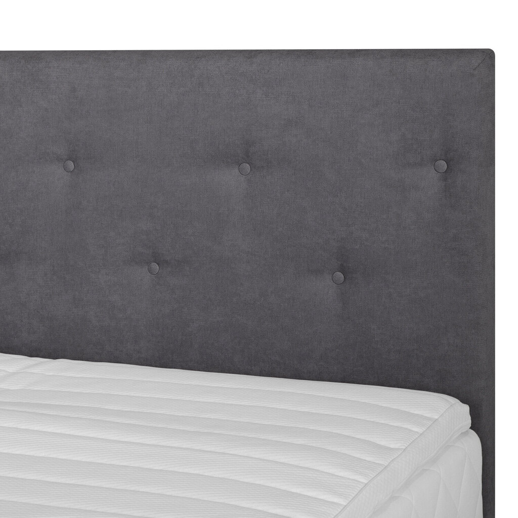 Sänky LENE 160x200cm hinta ja tiedot | Sängyt | hobbyhall.fi