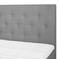 Sänky LEONI 160x200cm, harmaa hinta ja tiedot | Sängyt | hobbyhall.fi