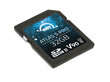OWC Atlas S Pro 32 GB SDHC UHS-II hinta ja tiedot | Muisti (RAM) | hobbyhall.fi