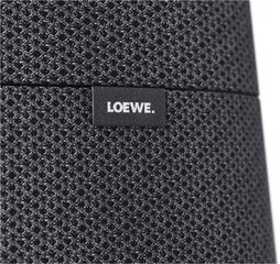 LOEWE Klang MR5, Multiroom Speaker 180W, Basalt Grey hinta ja tiedot | Kaiuttimet | hobbyhall.fi
