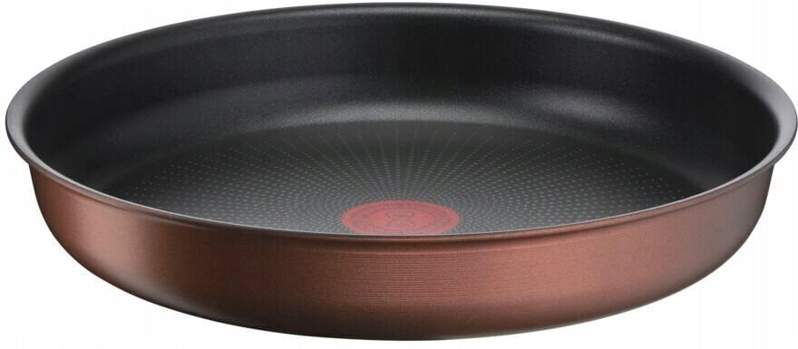 Paistinpannu Ingenio Eco Respect 28cm Tefal hinta ja tiedot | Paistinpannut | hobbyhall.fi