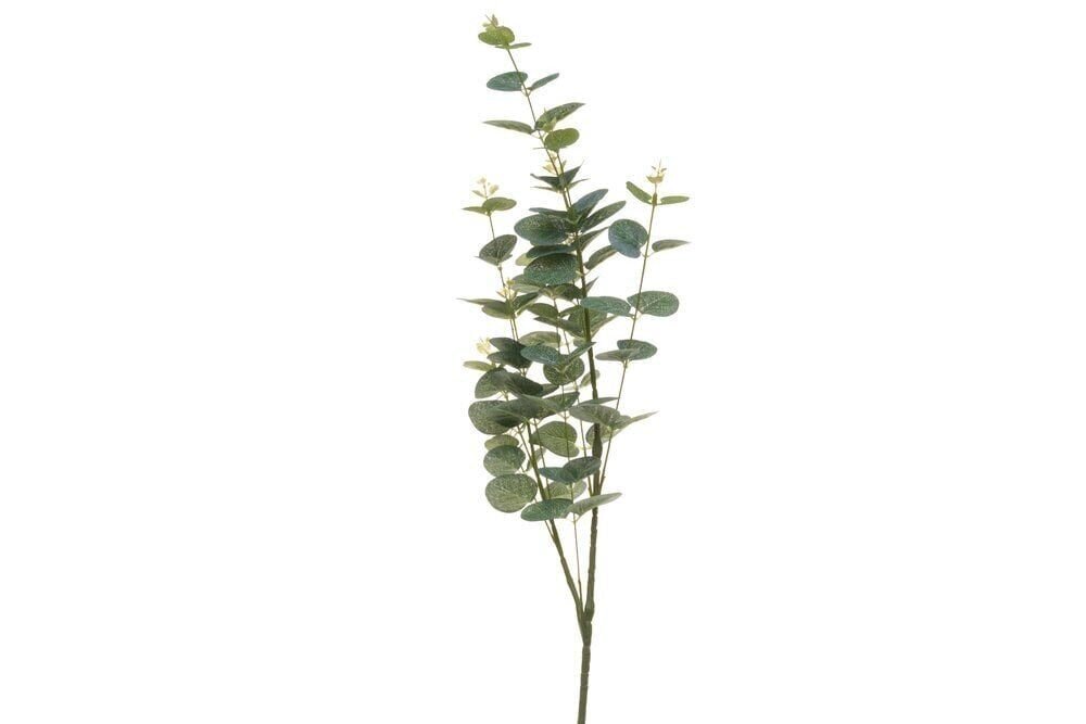 4Living Eukalyptus oksa 92 cm hinta ja tiedot | Sisustustuotteet | hobbyhall.fi
