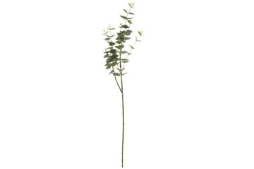 4Living Eukalyptus oksa 92 cm hinta ja tiedot | Sisustustuotteet | hobbyhall.fi