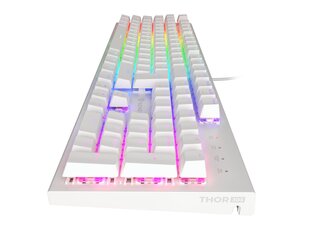 Genesis Thor 303 RGB hinta ja tiedot | Näppäimistöt | hobbyhall.fi