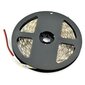 LED-nauha SMD5050, 5 m hinta ja tiedot | LED-valonauhat | hobbyhall.fi