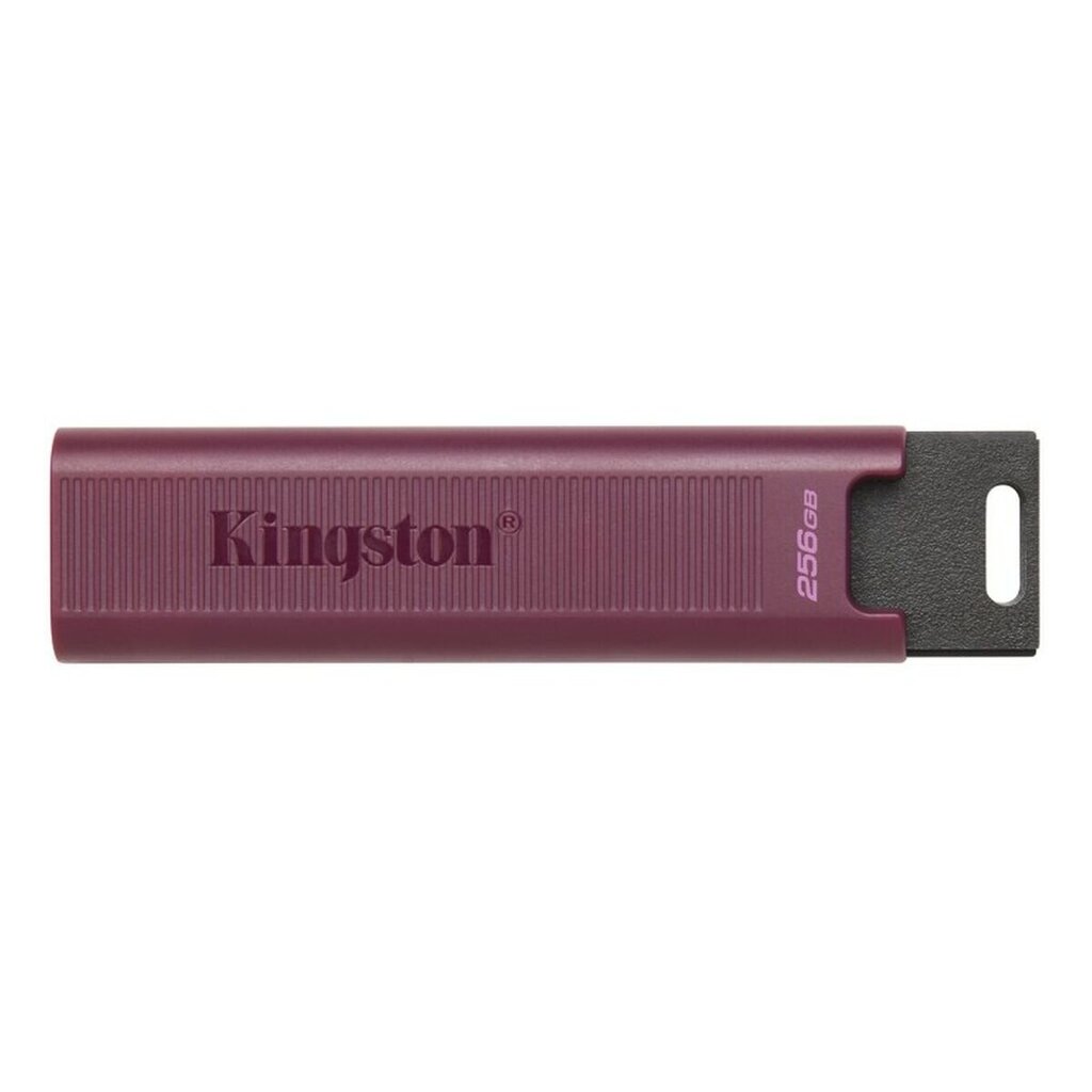 Kingston DTMAXA/256GB 256 GB hinta ja tiedot | Muistitikut | hobbyhall.fi