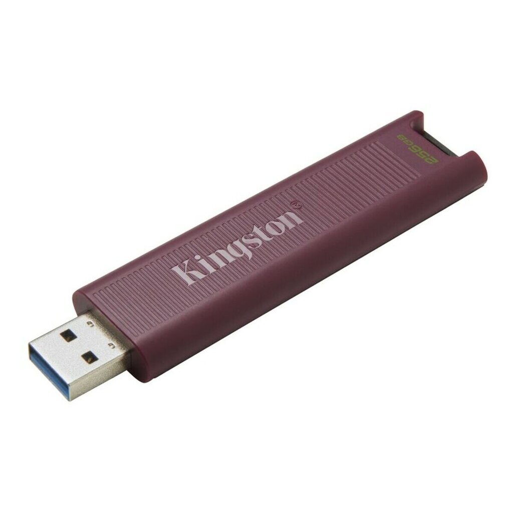 Kingston DTMAXA/256GB 256 GB hinta ja tiedot | Muistitikut | hobbyhall.fi