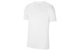 Nike Park 20 Miesten T-paita, valkoinen CZ0881-100 hinta ja tiedot | Miesten urheiluvaatteet | hobbyhall.fi