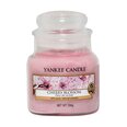 Yankee Candle Cherry Blossom Candle - tuoksukynttilä 104.0g