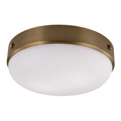 Kattovalaisin Elstead Lighting Cadence hinta ja tiedot | Kattovalaisimet | hobbyhall.fi