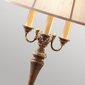 Lattiavalaisin Elstead Lighting Gibson hinta ja tiedot | Lattiavalaisimet | hobbyhall.fi