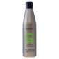 Shampoo rasvoittuville hiuksille Salerm, 250ml hinta ja tiedot | Shampoot | hobbyhall.fi