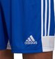 Adidas shortsit Tastigo 19, sininen hinta ja tiedot | Jalkapallovaatteet ja -varusteet | hobbyhall.fi
