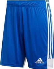 Adidas shortsit Tastigo 19, sininen hinta ja tiedot | Jalkapallovaatteet ja -varusteet | hobbyhall.fi