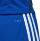 Adidas shortsit Tastigo 19, sininen hinta ja tiedot | Jalkapallovaatteet ja -varusteet | hobbyhall.fi