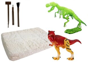 Joukko nuori arkeologi dinosaurus hehkuva pimeässä hinta ja tiedot | Kehittävät lelut | hobbyhall.fi