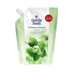 Virkistävä käsisaippua koivu-uutteella Family Fresh Spring Rain, 750 ml hinta ja tiedot | Saippuat | hobbyhall.fi