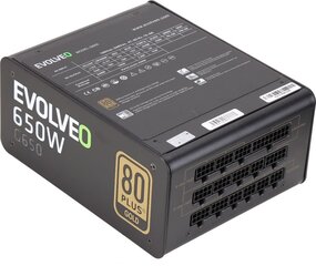 Evolveo G650 650W ( E - G650R ) hinta ja tiedot | Evolveo Tietokoneet ja pelaaminen | hobbyhall.fi