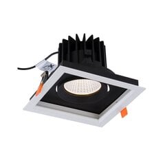 LED-valaisin Nowodvorski CL Dia 30W 4000K 8718 hinta ja tiedot | Upotettavat valaisimet ja LED-valaisimet | hobbyhall.fi